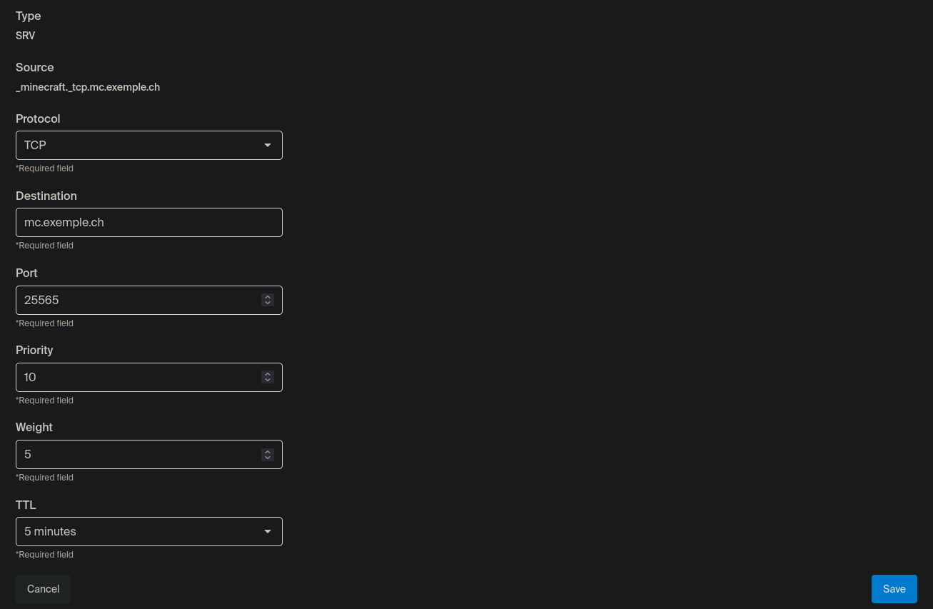 Paramètrage de l'enregistrement de type SRV.